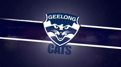 Alleycats geelong  Cattery, Newcomb, VIC 3219